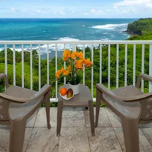 Alii Kai 4303 - Oceanfront Views And Floor - Watch For Whales! Apartment